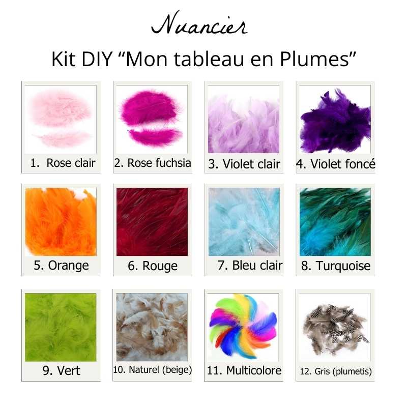 Kit DIY "Mon tableau en plumes" - modèle SAMANTHA Ma Sorcière bien aimée (pochette)