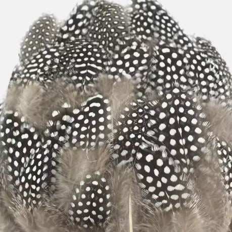 Kit DIY "Mon tableau en plumes" - modèle SAMANTHA Ma Sorcière bien aimée (pochette)