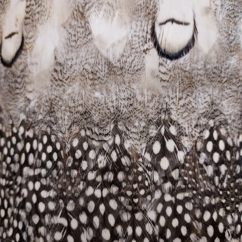 lampe-de-table-bois-et-abat-jour-plumes-decoplumes