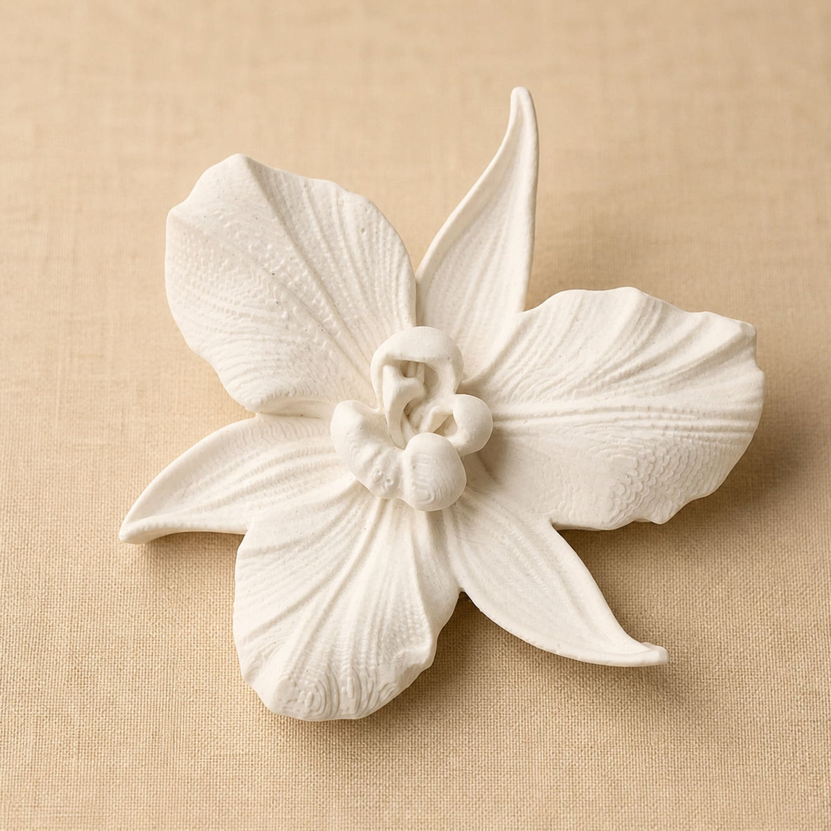 Orchidée Elégance