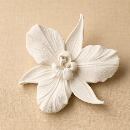 Orchidée Elégance