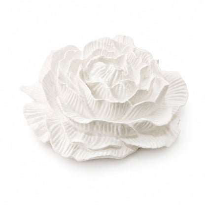 Pivoine Intemporelle à parfumer
