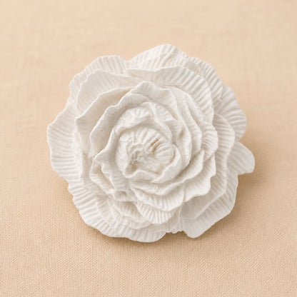 Pivoine Intemporelle à parfumer
