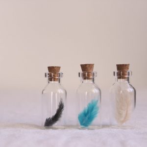 Déco plumes : 3 mini bouteilles avec des plumes à l'intérieur