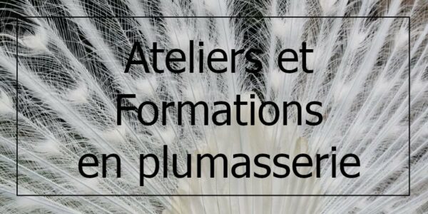 decoplumes-atelier-plumes-formation-plumasserie-ollioules-var-83