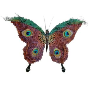 decoplumes-papillon - œuvre d'art réalisée en plumes de faisan et de paon et appelé "le paon du jour"