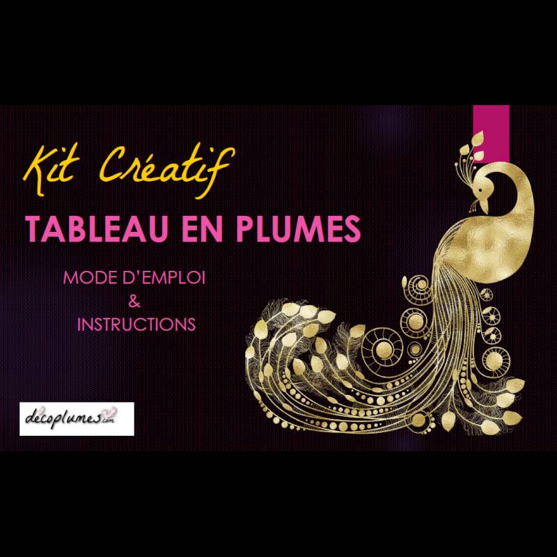 decoplumes-kit-creatif-tableau_en_plumes-mode-demploi-instructions