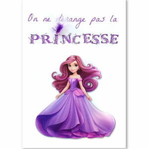 decoplumes-affiche-de-porte-princesse